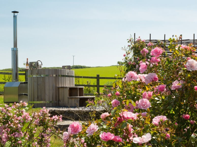 Winner small image - Carswell Cottages